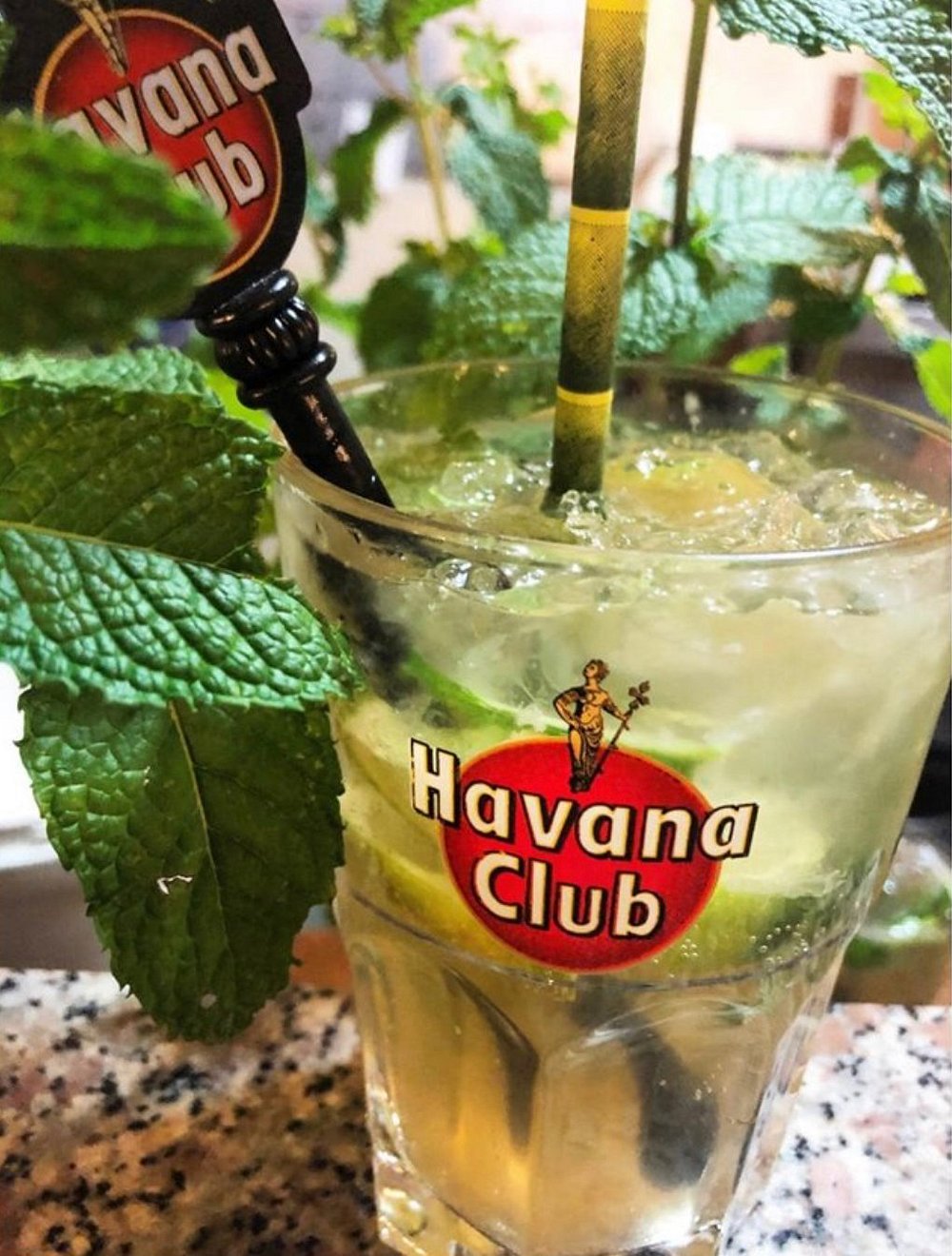 Mojito maison